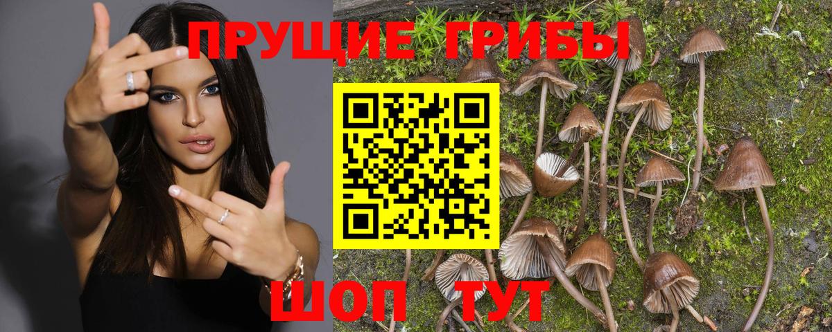 Галлюциногенные грибы MAGIC MUSHROOMS Нягань